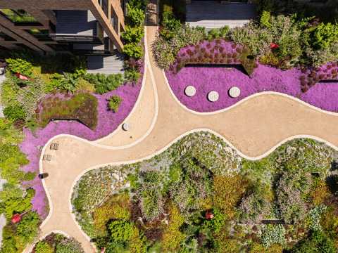 Garten mit geschwungenen Wegen, lila Beeten und Bänken, von oben fotografiert.